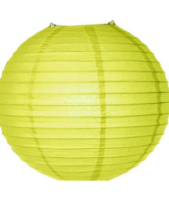 Location lanternes vert anis boules chinoises